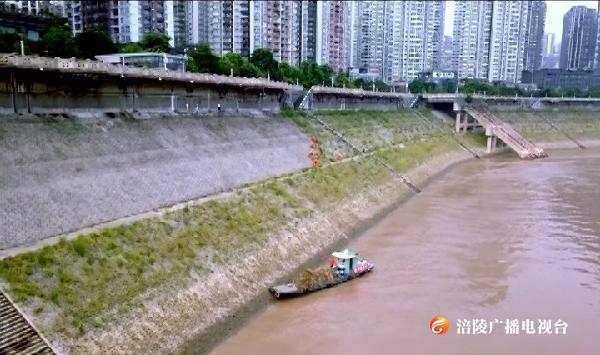 水域环卫工人：消落带每天除草1吨以上