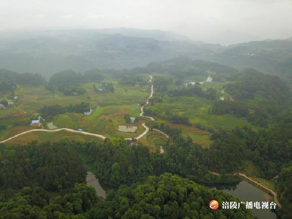 利益联结强产业 打通城乡促振兴——重庆涪陵大顺乡乡村振兴观察