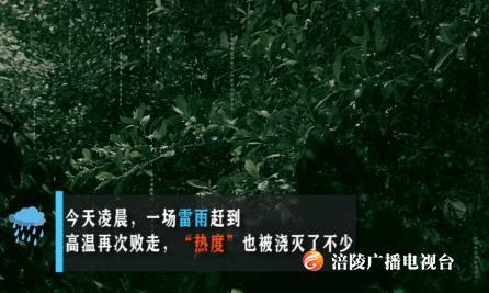 今天的天气，一个字，“巴适”！