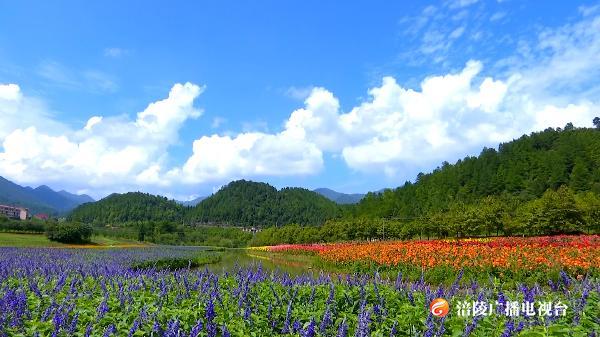 大木花谷繁花开 避暑赏花两不误