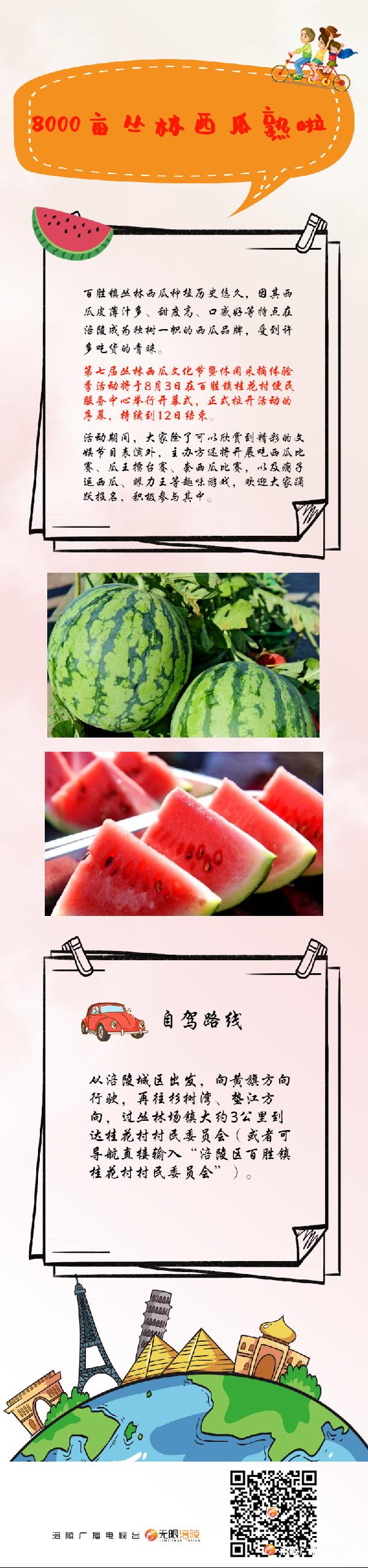 8000亩丛林西瓜熟啦，约着去尝鲜！