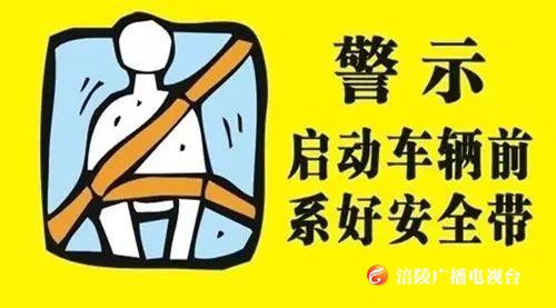 ​【曝光台】未系安全带，涪陵这些车辆被”点名“，来看看有你吗？