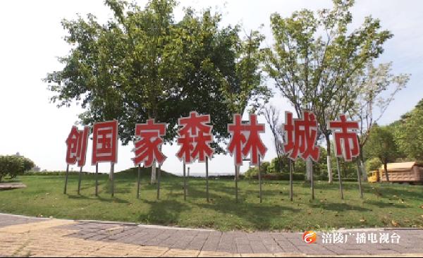 【中央生态环保督察重庆在行动】森林城市建设：涂抹“绿”生活