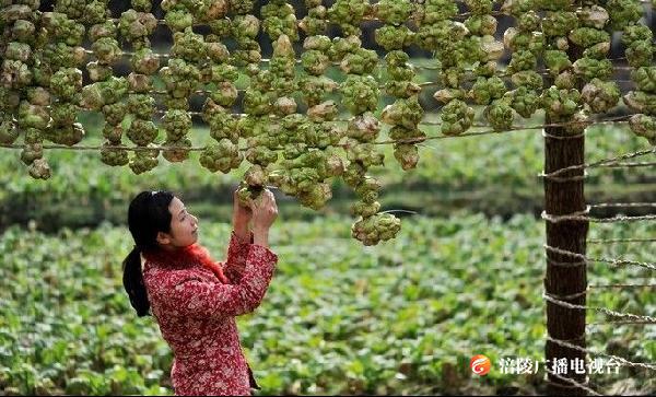 斩获金奖！涪陵榨菜又火了一把