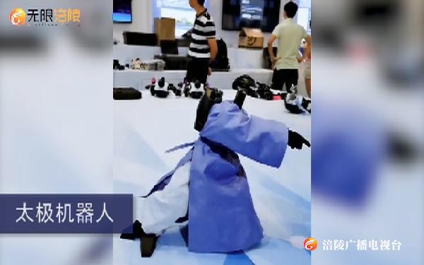 没能去智博会？这个视频能解眼馋！