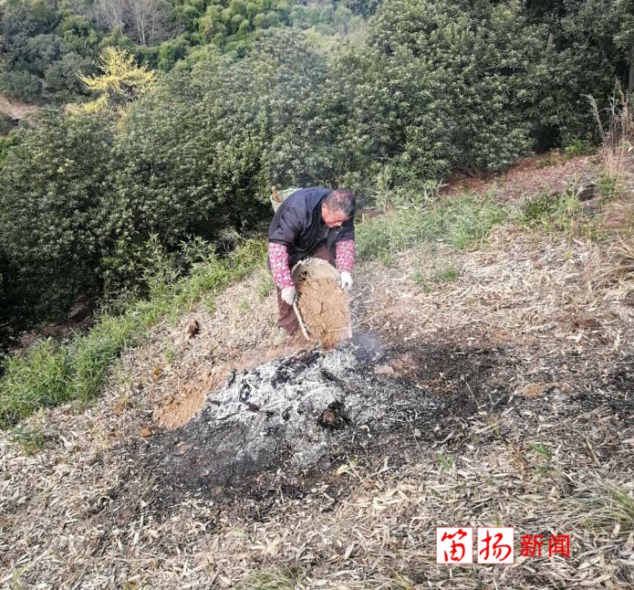 QQ截图20200226151356_副本