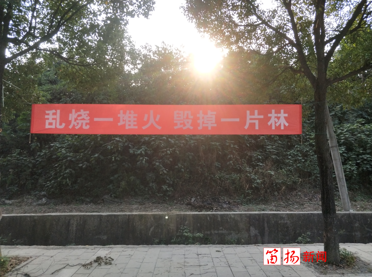 QQ截图20200226151425_副本