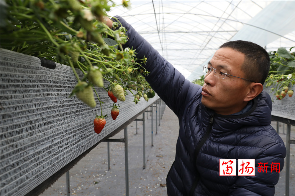 微信图片_20200303134221_副本