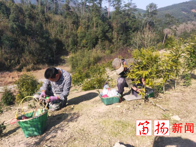 王坛2_副本