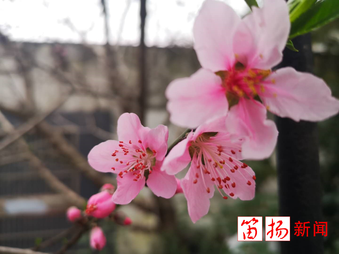 微信图片_20200305141637