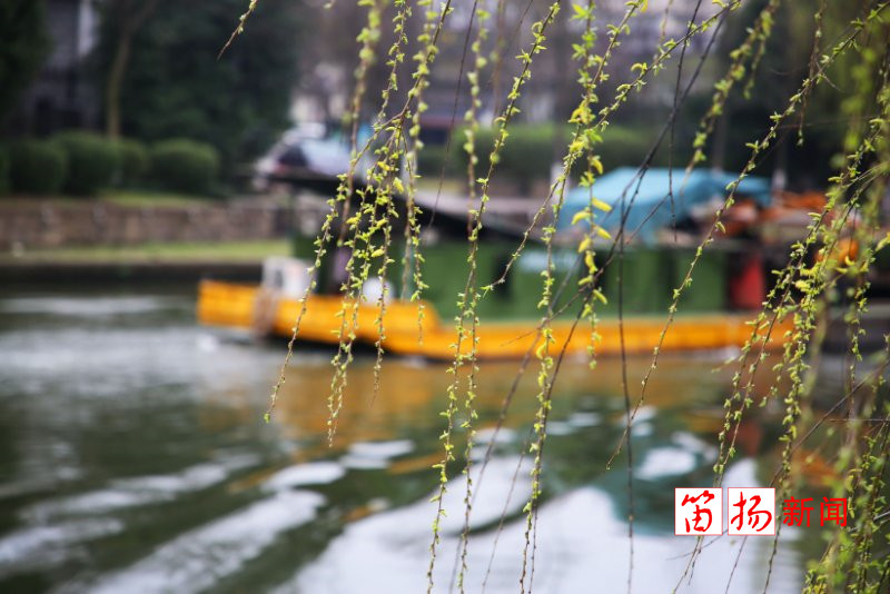 微信图片_20200306072649_副本