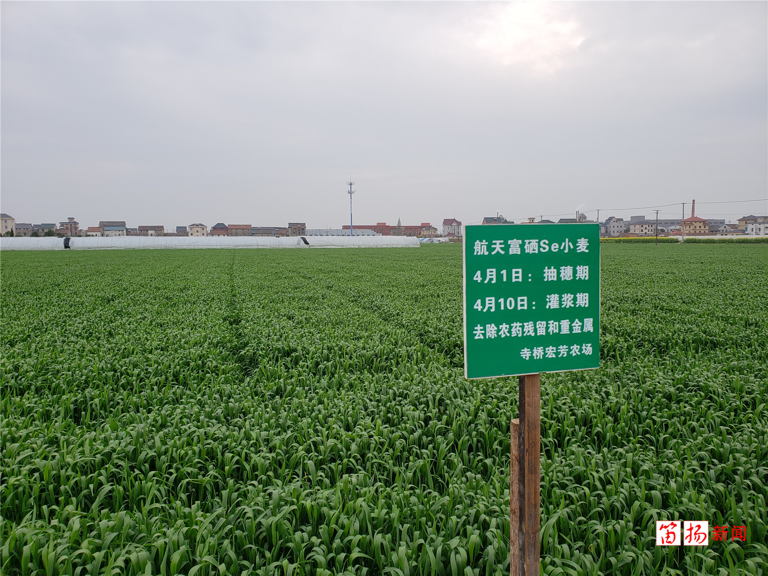 W020200317366482842407_副本