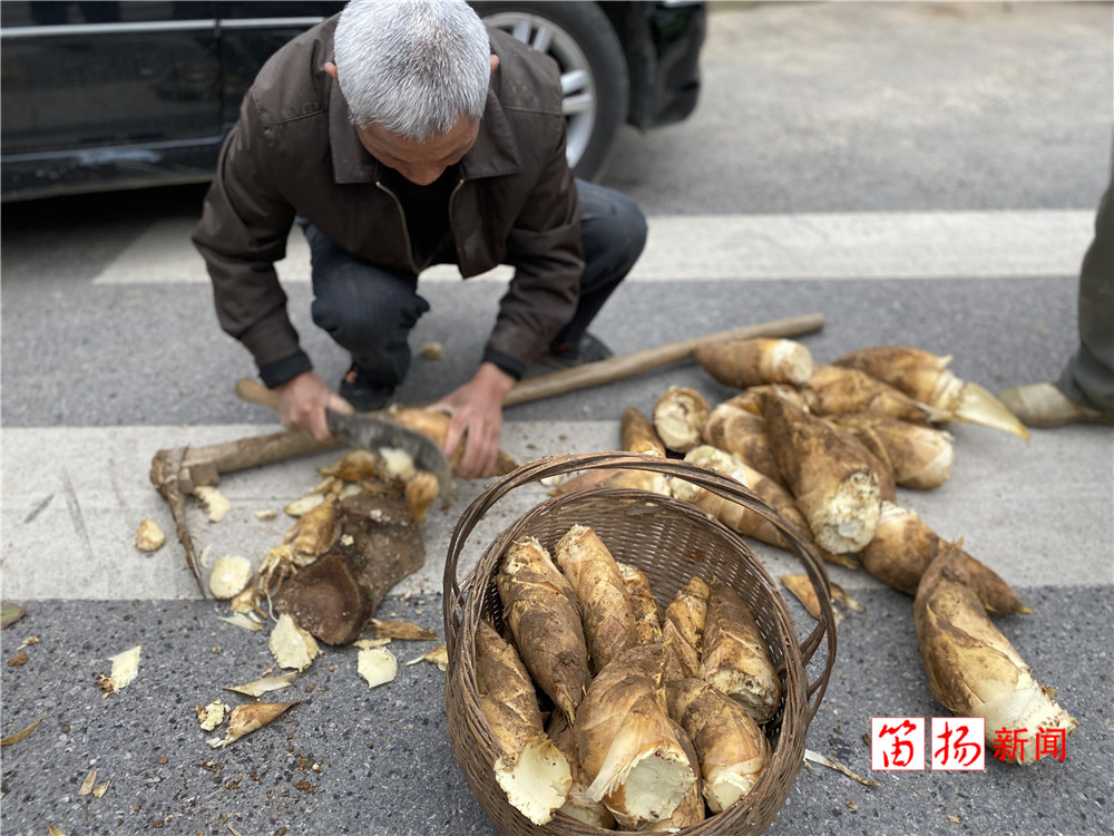 微信图片_20200317141655_副本