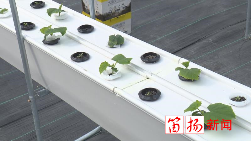 微信图片_202003171439056