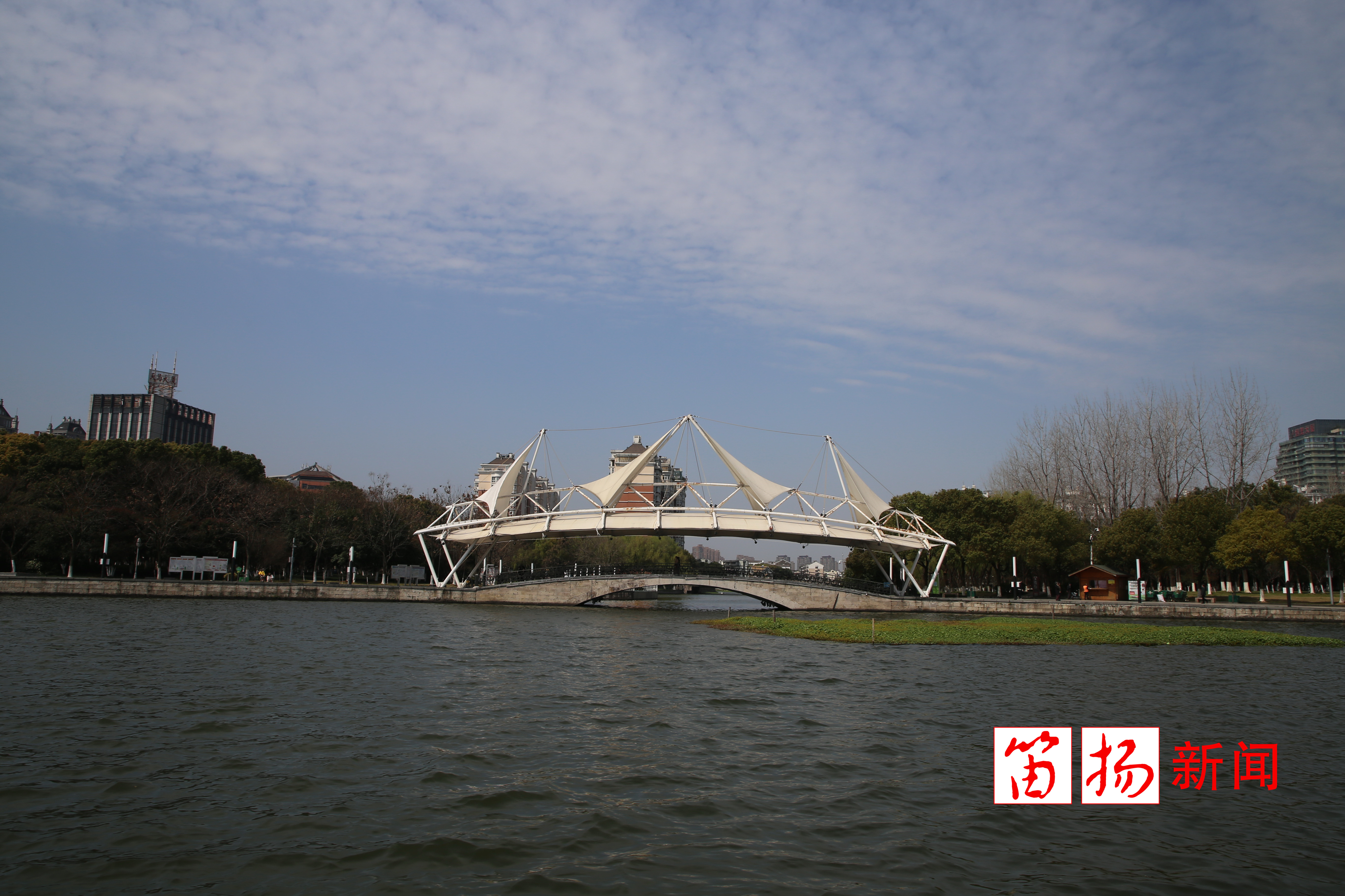 微信图片_20200319131356_副本