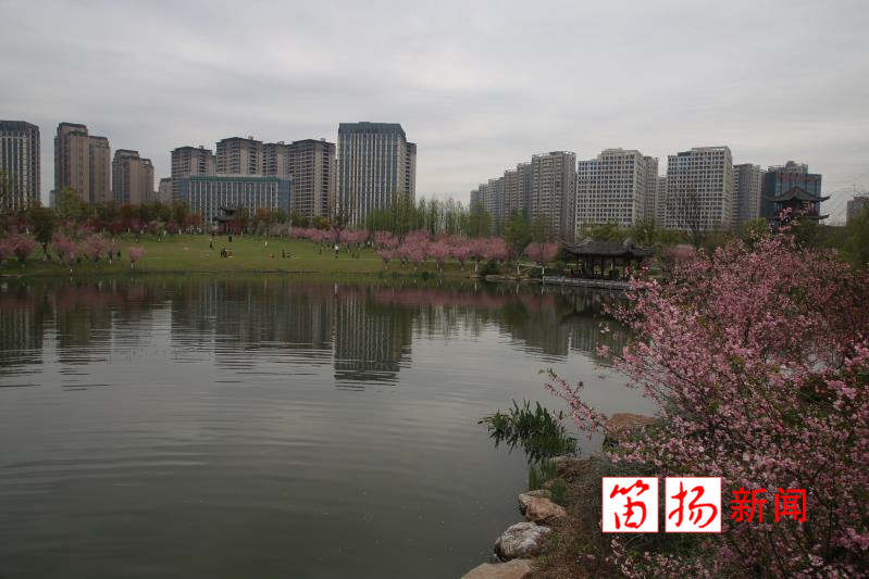 海淘3_副本
