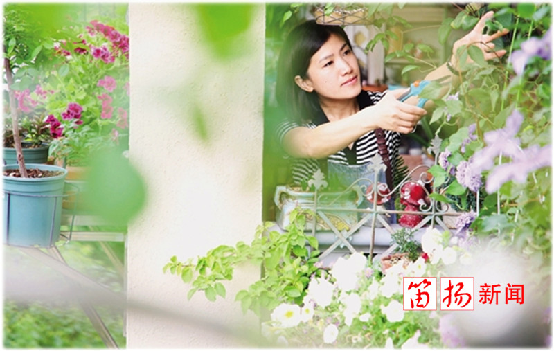 花园4_副本_副本