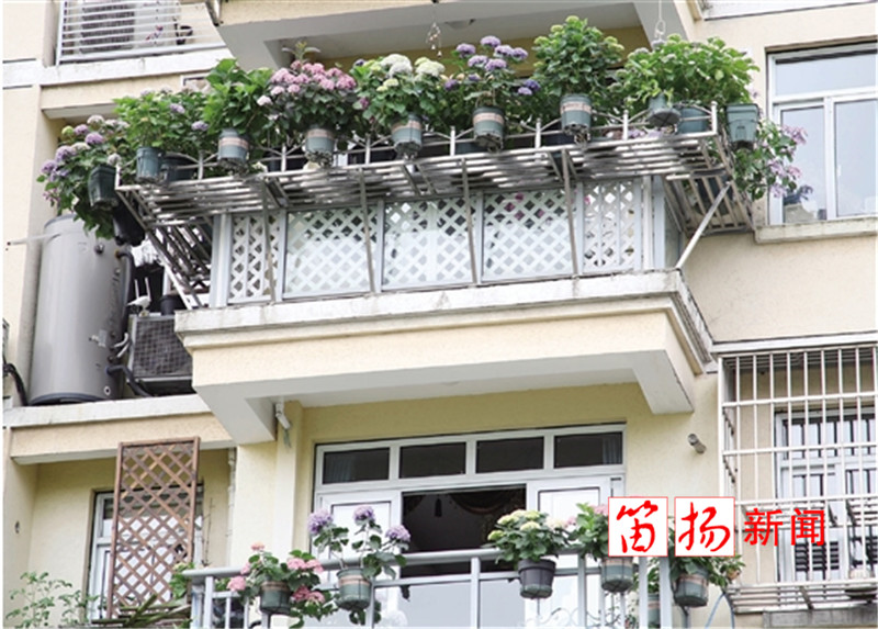花园3_副本_副本