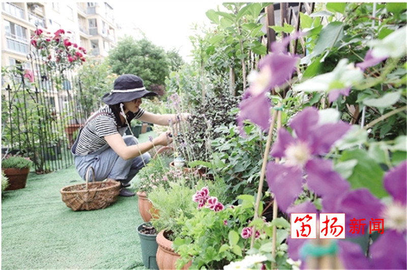 花园2_副本_副本