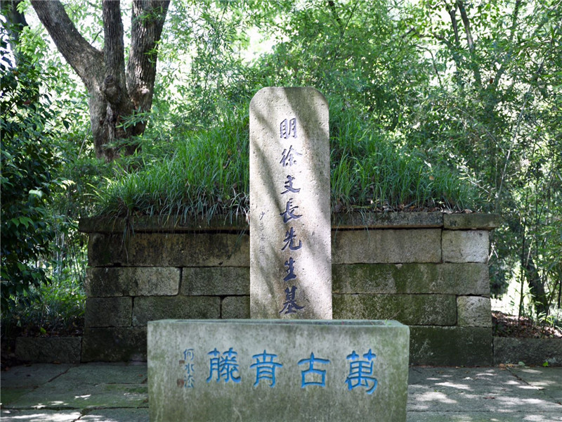 地理志寂寞青藤一生只够爱一人
