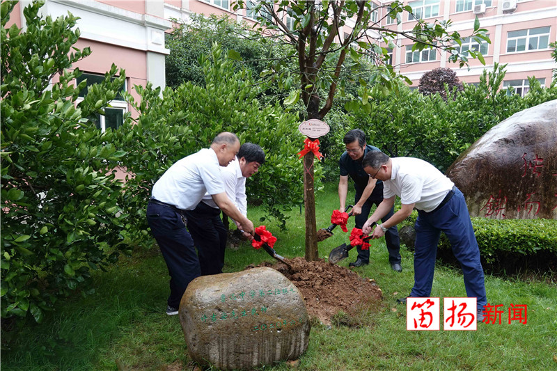 植树1_副本_副本