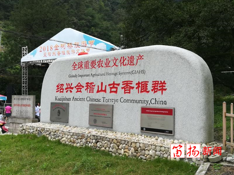 香榧2_副本_副本