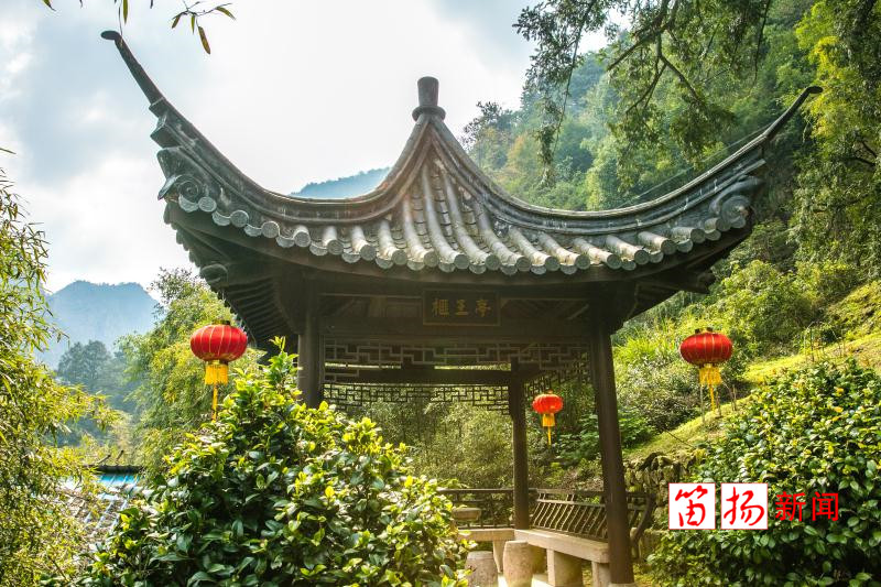 香榧1_副本_副本