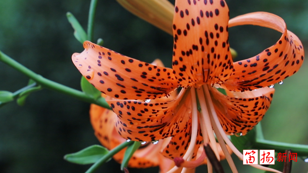 微信图片_202007141645062_副本