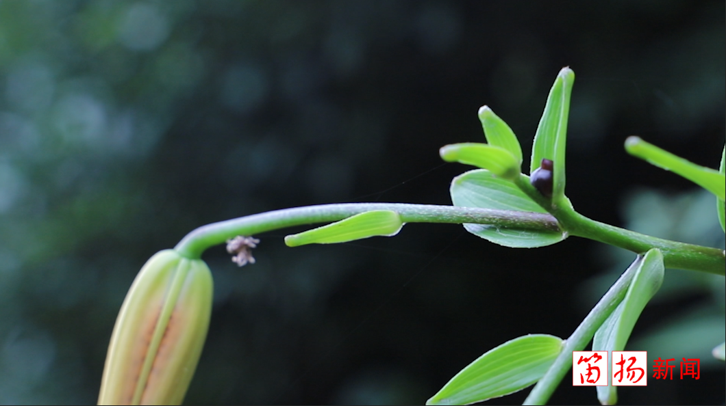 微信图片_20200714164506_副本