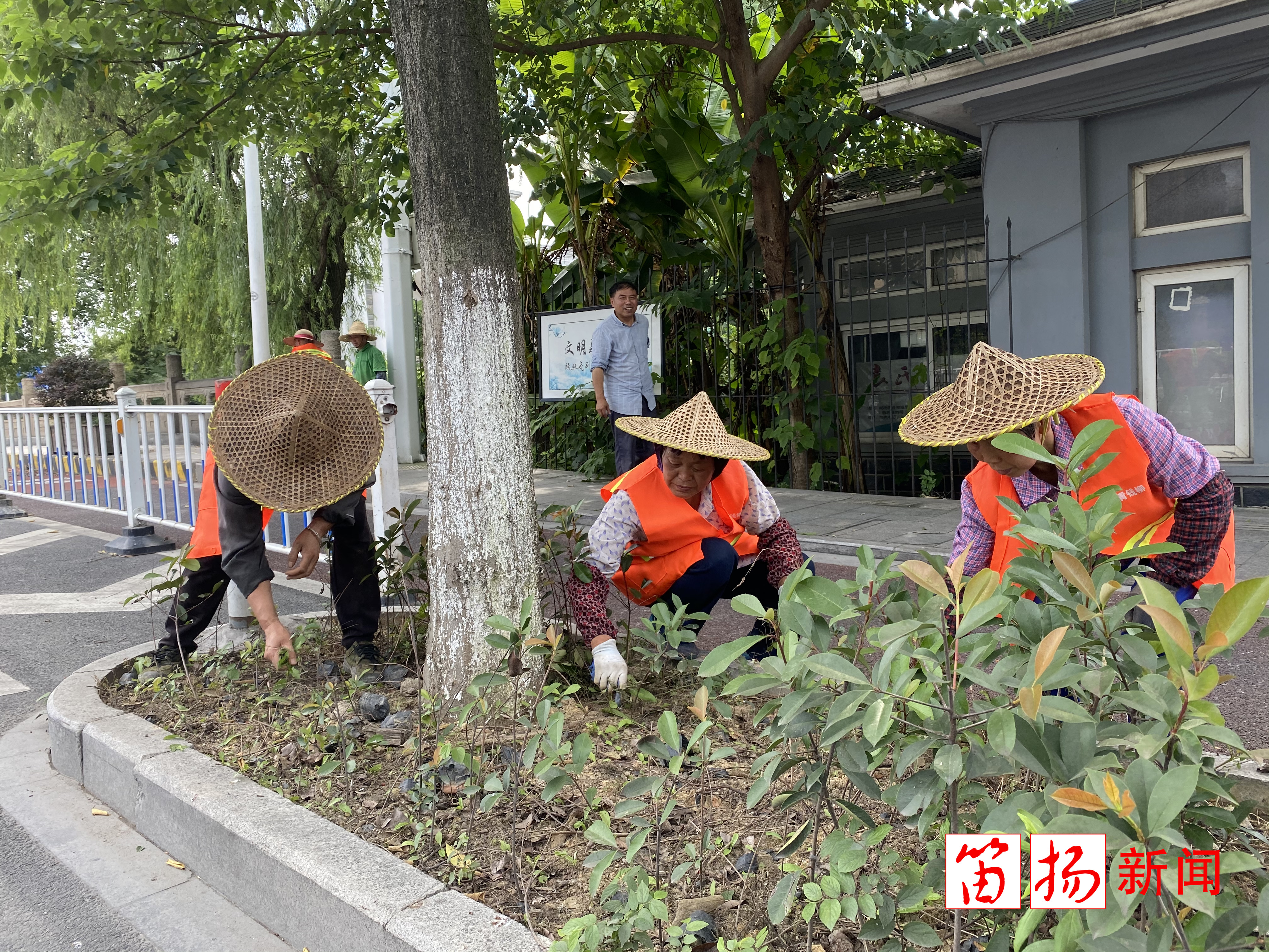 W020200723547553647242_副本