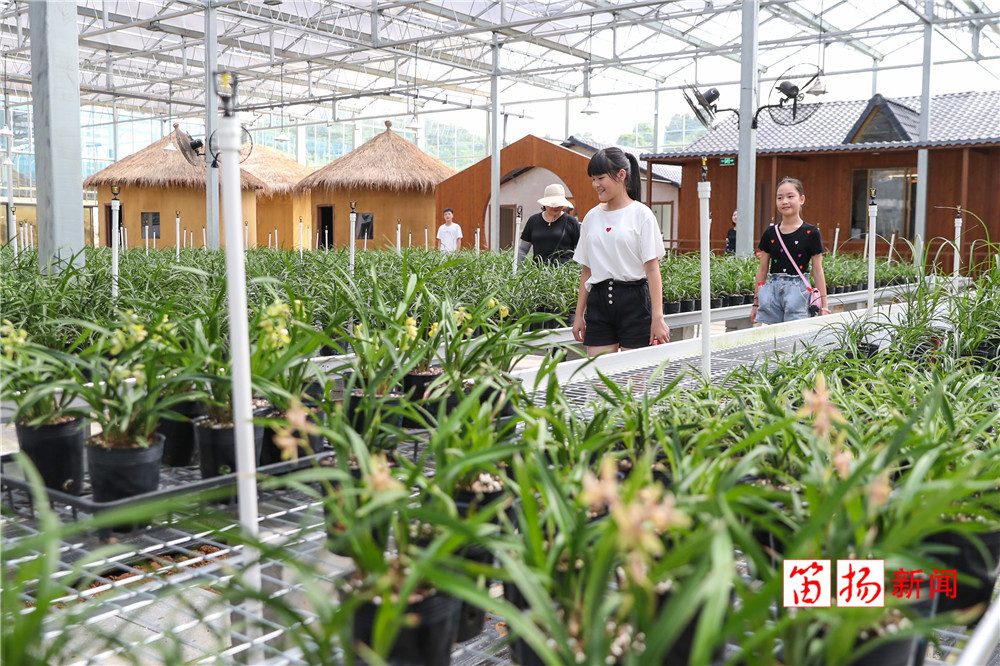 W020200812560991360688_副本