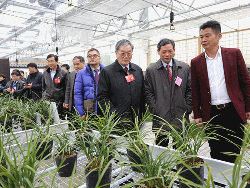 1.庆祝新中国成立70周年“看变化、话发展、谈未来”活动_副本_副本