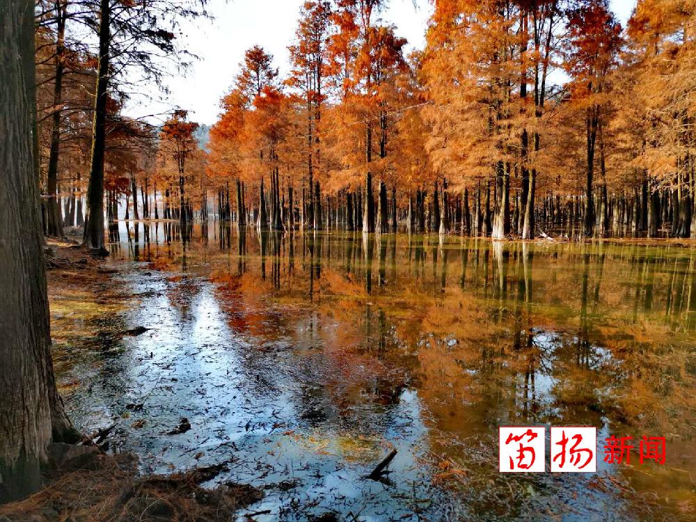 官宣 绍兴今日入秋 官宣 绍兴今日入秋