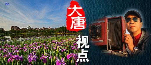 大唐视点丨汇智长兴岛 驱动未来梦