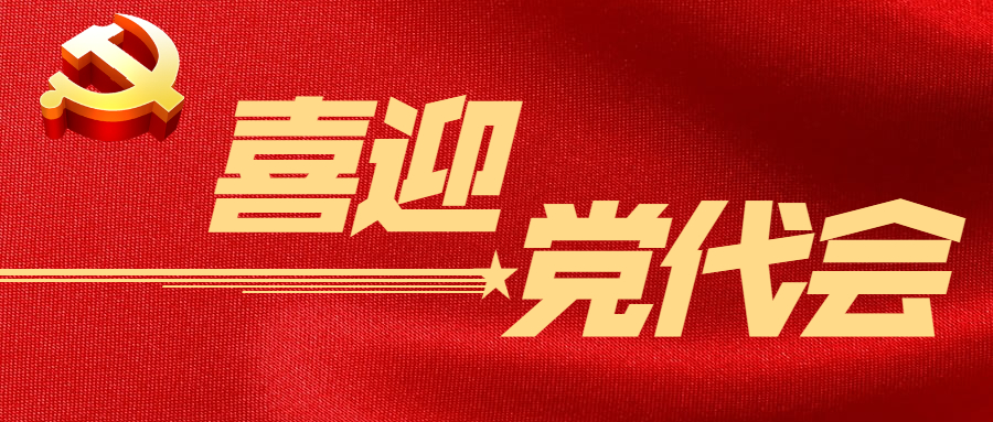 喜迎党代会 logo