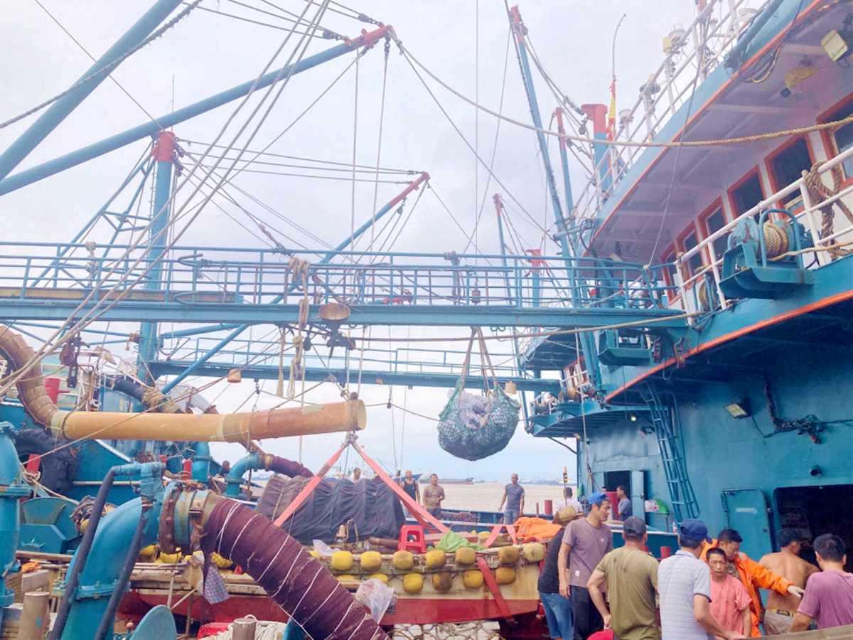 防控台风“海葵”丨船只渔民回港，海上公交停航