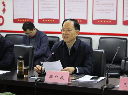 陈红民在座谈会上发表讲话，对我市心理健康教育工作提出要求.jpg