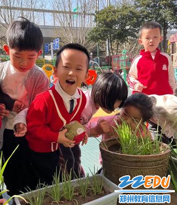 7.看一看这是什么植物吧