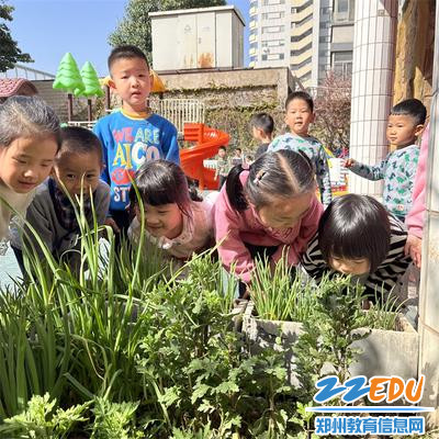 8.用鼻子探索世界