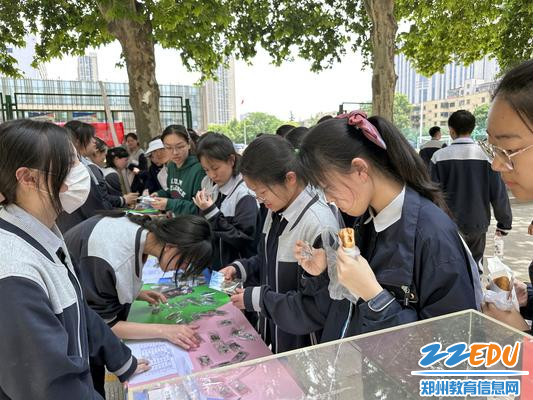 挑选心仪物品_副本