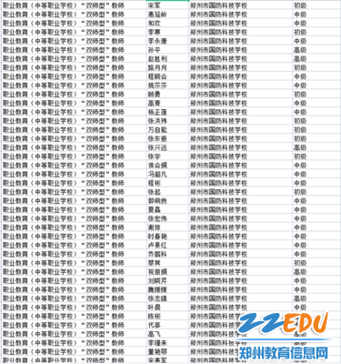 双师型教师认定情况