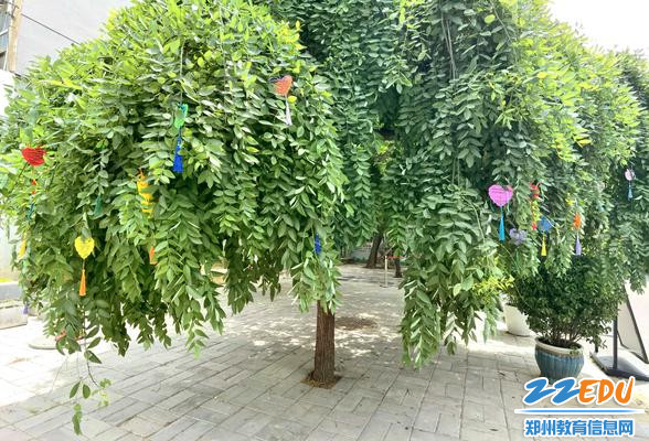 经纬校园里独一无二的幸福树