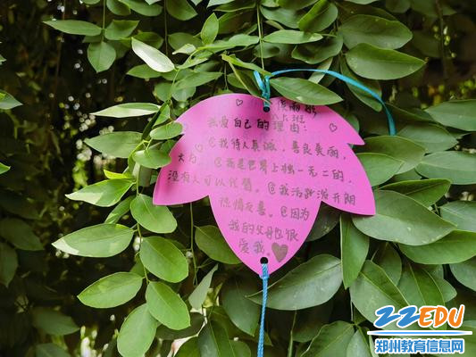 致敬独一无二的自己