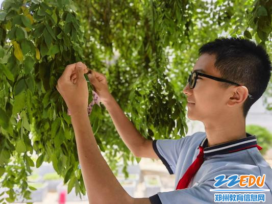 悬挂欣赏卡，表达对自己的爱