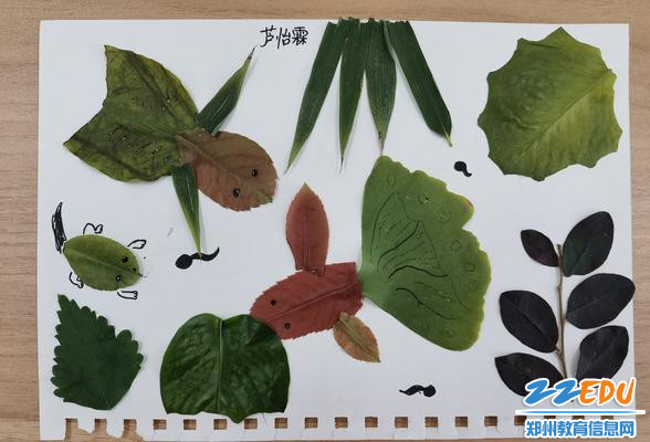 作品欣赏之鱼儿嬉戏