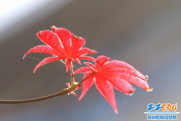 微信图片_20231008174055