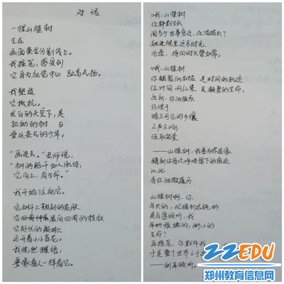 图片9