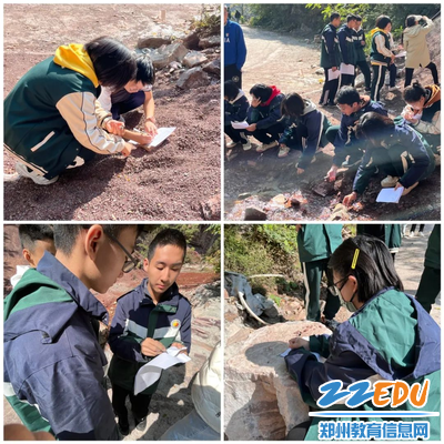 图片8